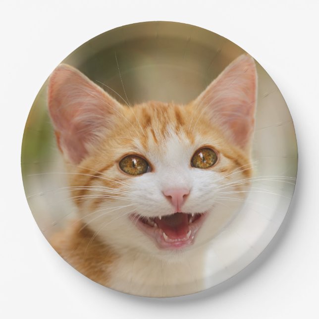 Cute Smiling Kitten Face Funny Cat Meow Photo - Paper Plate (Front)