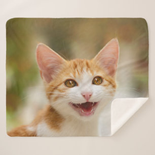Cute Smiling Kitten Face Funny Cat Meow Photo Sherpa Blanket