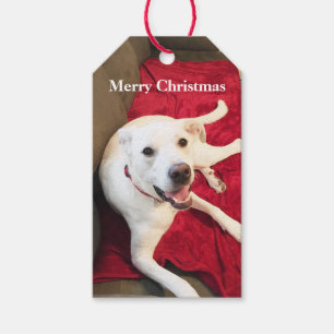 Cute Smiling Puppy Dog Red Christmas Gift Tags