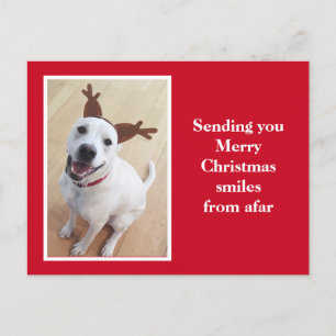 Cute Smiling Reindeer Puppy Dog Red Christmas Postcard
