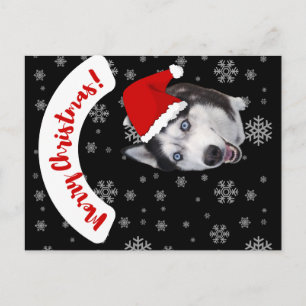 cute smiling Santa Husky in red hat Postcard