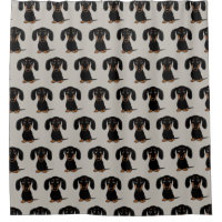 Cute Smooth Coated Black and Tan Dachshund Pattern