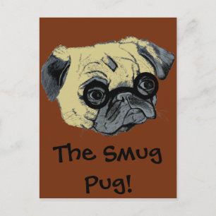 Cute Smug Pug Postcard