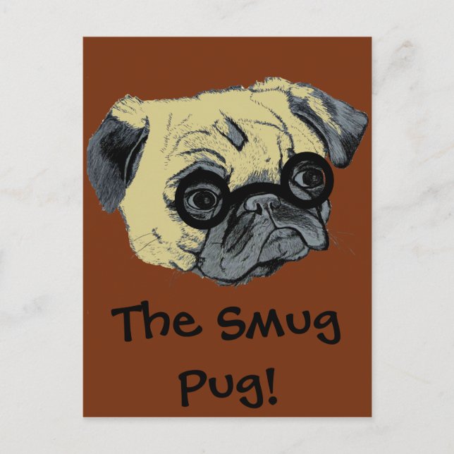 Cute Smug Pug Postcard (Front)