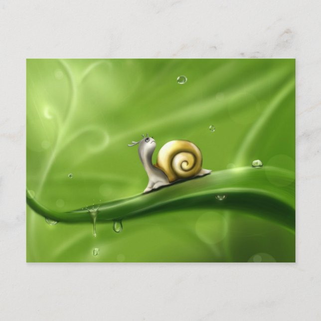 Cute Snail in the Rain Postcard (Front)
