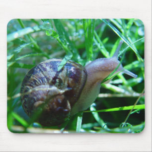 Cute Snail In Wet Green Grass Mouse Pad