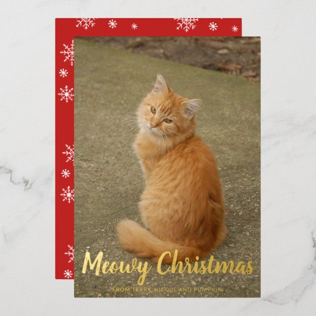 Cute Snowflakes Cat Photo Meowy Christmas Gold Foil Holiday Card (Front/Back)