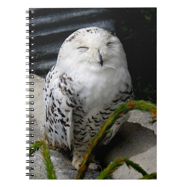 Cute Snowy Owl Notebook (Front)