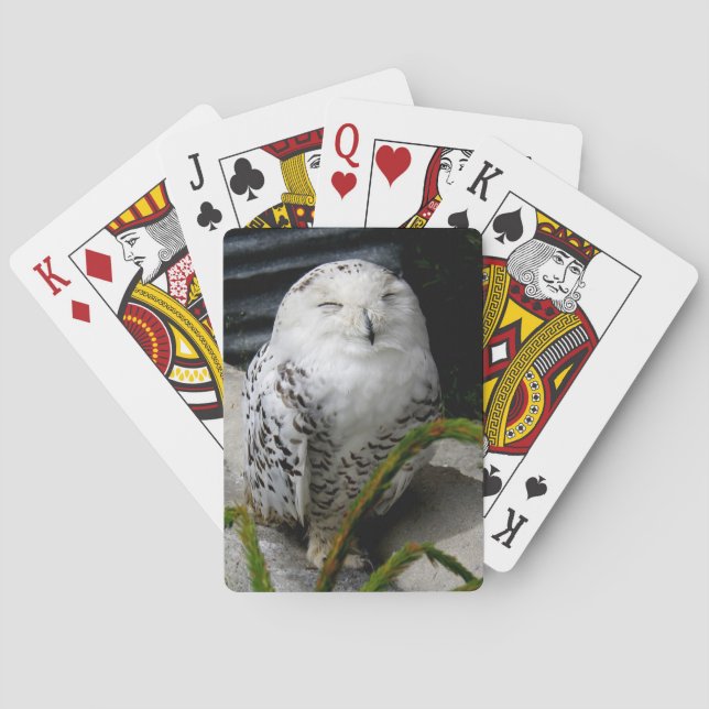 Cute Snowy Owl Playing Cards (Back)