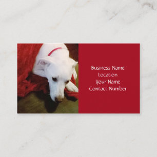 Cute Snowy White Puppy Dog Red Holiday Business Card