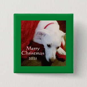 Cute Snowy White Puppy Dog Square green Christmas  2 Inch Square Button