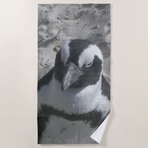 Cute South African Penguin Beach Towel