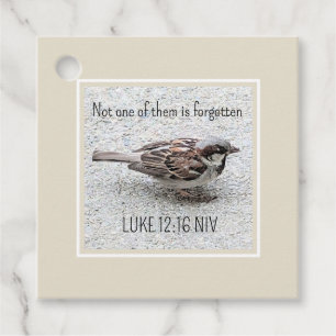 Cute Sparrow Bird Photo Bible Verse Simple Tan Favour Tags