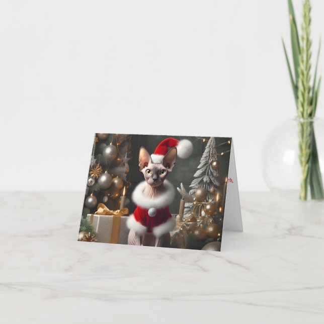 Cute Sphynx Cat Photo Winter Outfit Christmas Card (Front)