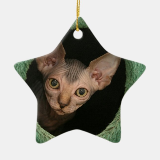 Cute sphynx kitten ceramic ornament (Front)