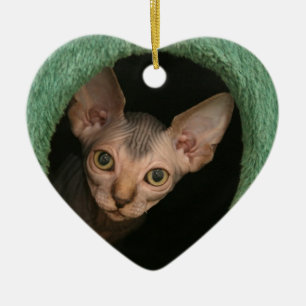 Cute sphynx kitten ceramic ornament