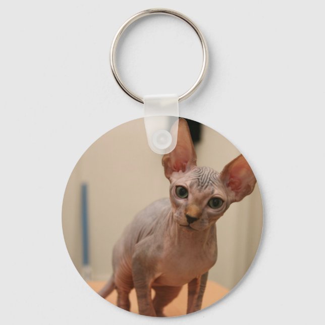 Cute sphynx kitten "I'm furless, are you?" Keychain (Front)