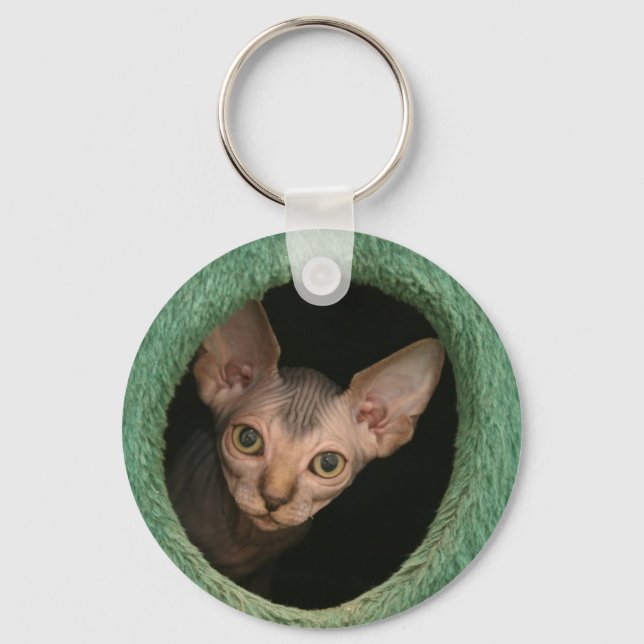 Cute sphynx kitten keychain (Front)