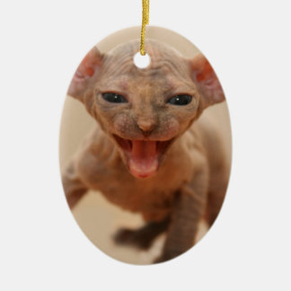 Cute sphynx kitten with tongue out ceramic ornament