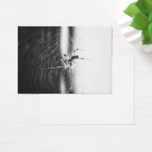 Cute Spider Tangled Weave Spider Lover Gift