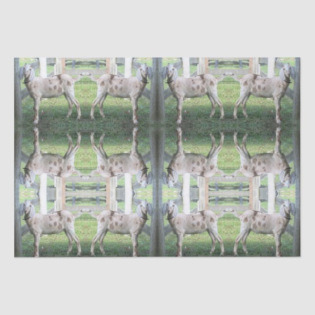 Cute Spotted Floppy Eared Goat Tissue Paper (Front)
