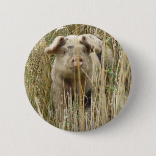 Cute Spotty Pig Button