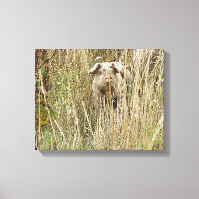 Cute Spotty Pig Canvas Print (Front)