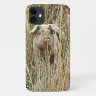 Cute Spotty Pig iPhone 3 Case