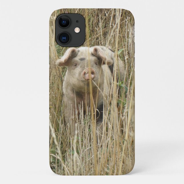 Cute Spotty Pig iPhone 3 Case (Back)