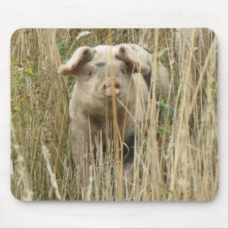 Cute Spotty Pig Mousepad