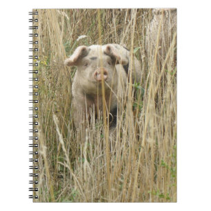 Cute Spotty Pig Notebook