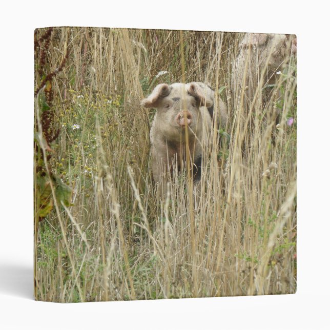 Cute Spotty Pig Photograph Album Binder (Front/Spine)