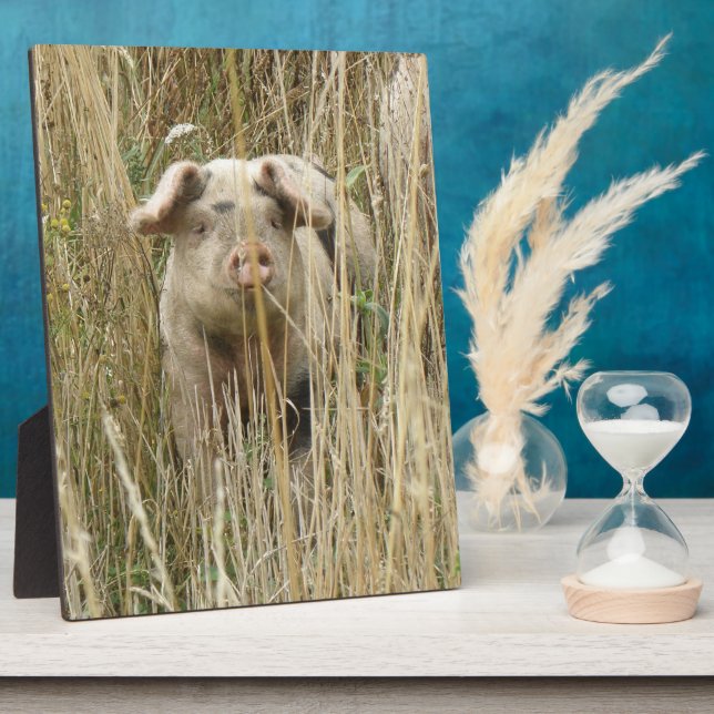Cute Spotty Pig Plaque (Side)