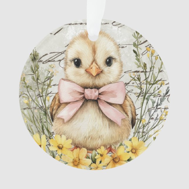 Cute spring baby bird ornament (Front)