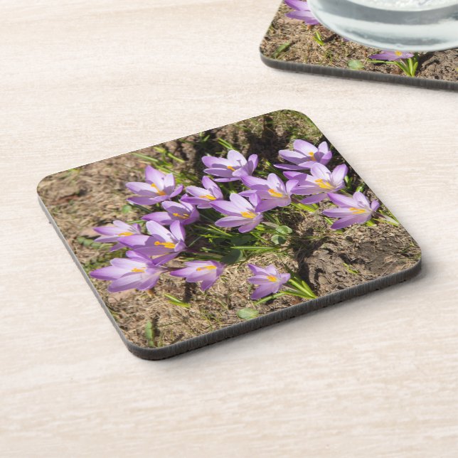 Cute spring crocuses coaster (Left Side)