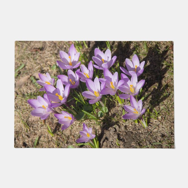 Cute spring crocuses doormat (Front)