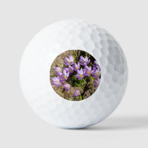 Cute spring crocuses golf balls