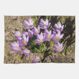 Cute spring crocuses kitchen towel