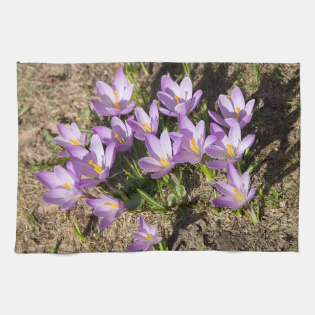 Cute spring crocuses kitchen towel (Horizontal)