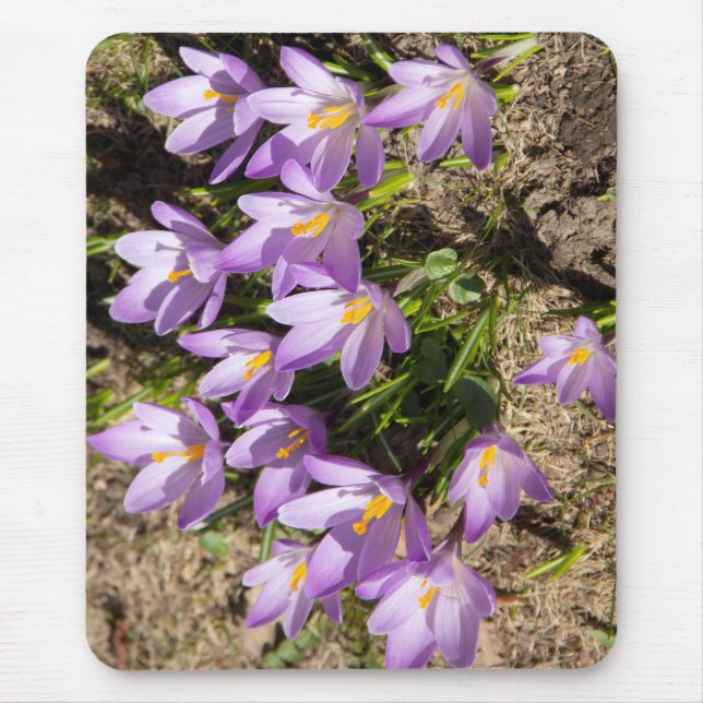 Cute spring crocuses mouse pad (Front)