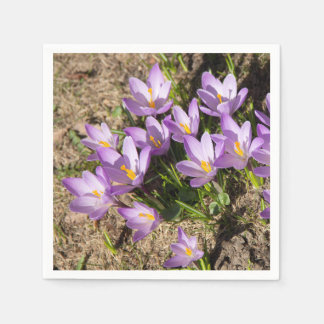 Cute spring crocuses napkin