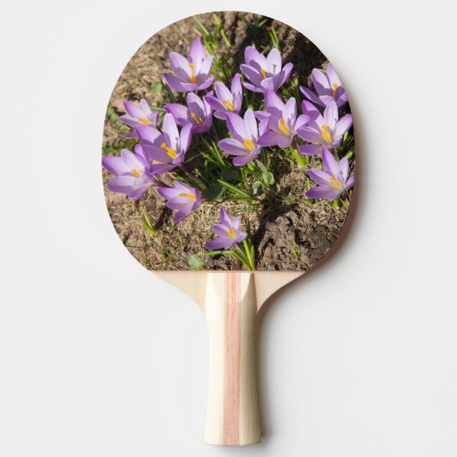 Cute spring crocuses ping pong paddle (Front)