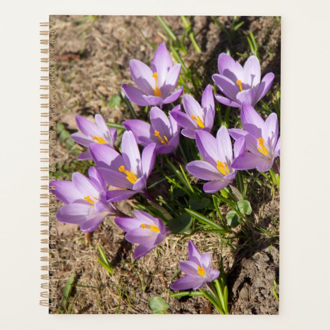 Cute spring crocuses planner (Front)