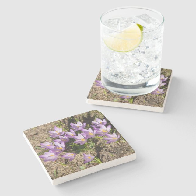 Cute spring crocuses stone coaster (Side)