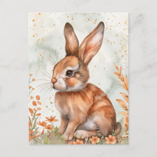 Cute Spring Rabbit Postcard