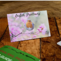 Cute Spring Robin Bird Easter Greetings Blossoms