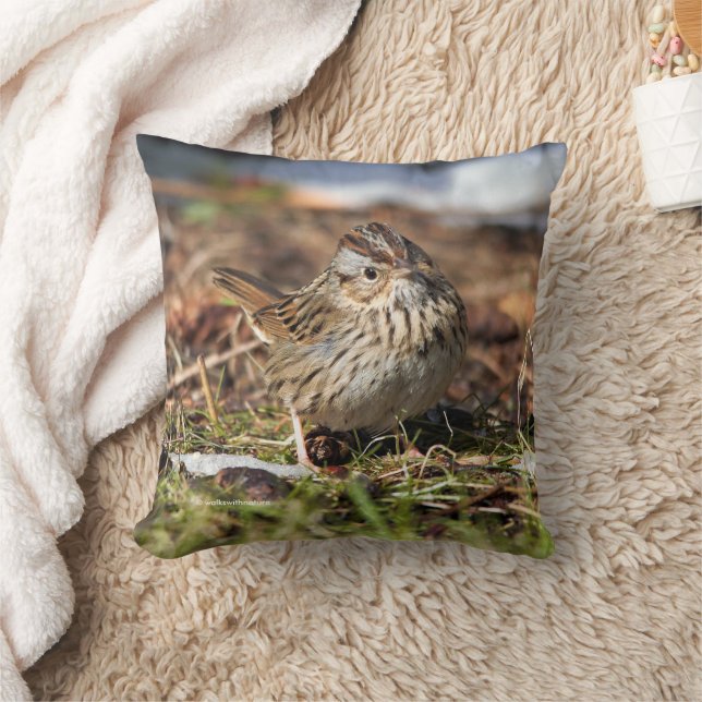 Cute Spunky Lincoln's Sparrow Songbird in Grass Throw Pillow (Blanket)