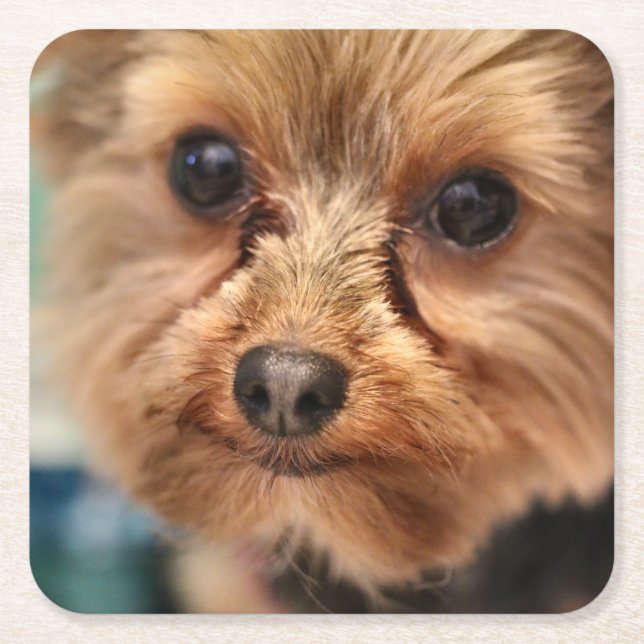 Cute  square paper coaster (Front)
