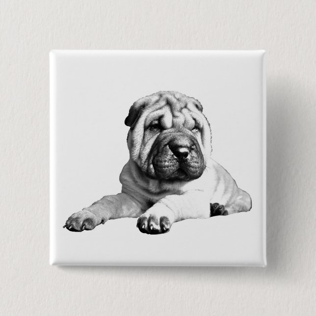 Cute Square Shar Pei Button (Front)