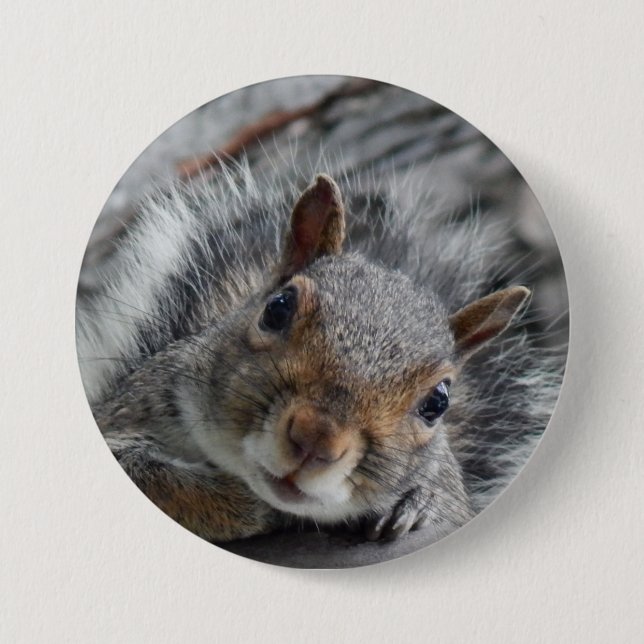 Cute Squirrel 3 Inch Round Button (Front)